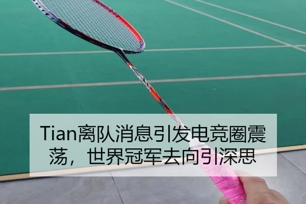Tian离队消息引发电竞圈震荡，世界冠军去向引深思
